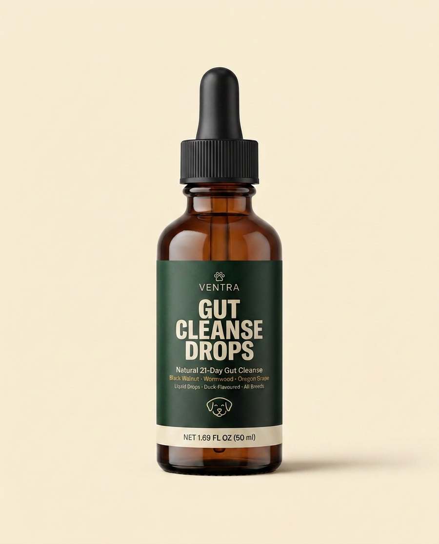 Bottle of [merk] gut cleanse drops